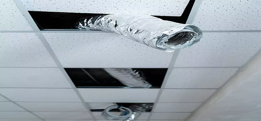 Affordable HVAC Sanitizing After Pest Removal in Goleta