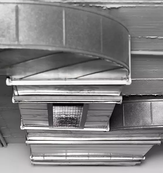 Professional Air Duct Pest Removal in Goleta, CA