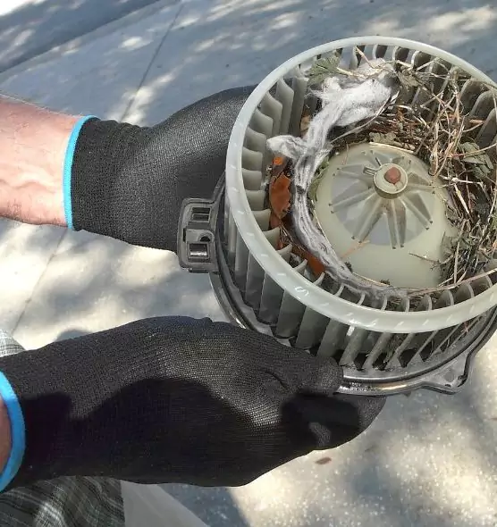 About Air Duct Rat Removal in Goleta, CA