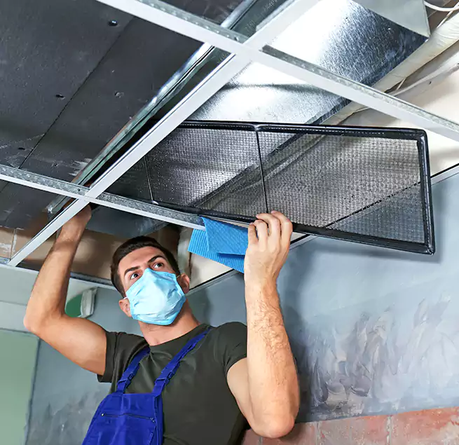 Why Homeowners Businesses Trust Us in Goleta, CA