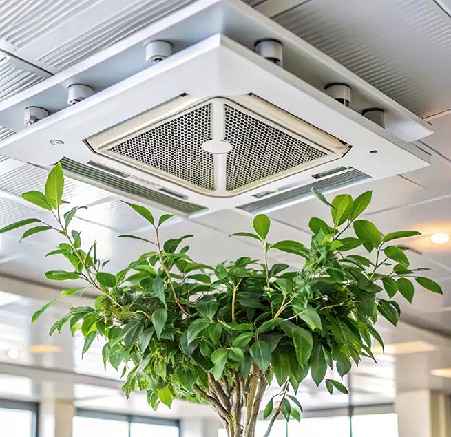 Why Homeowners & Businesses Trust Us in Goleta, CA?