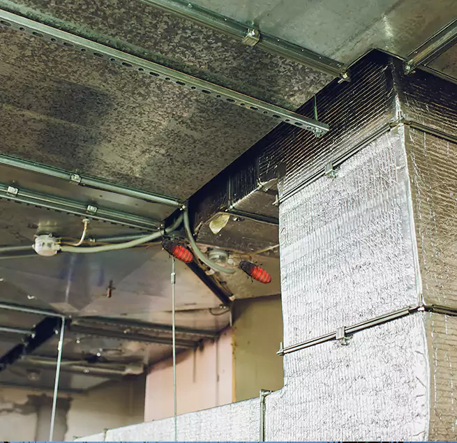 Why Homeowners & Businesses Trust Us Goleta, CA?