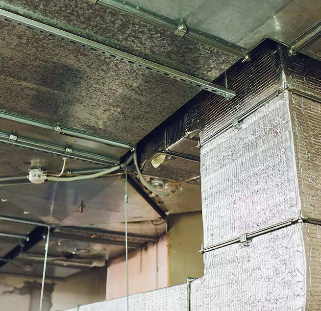 Why Homeowners & Businesses Trust Us in Goleta, CA?